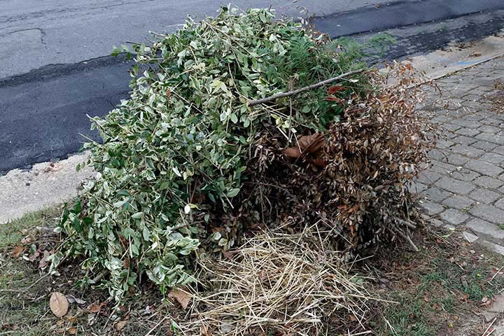Green Magic Landscape LLC in Mobile, AL (6)