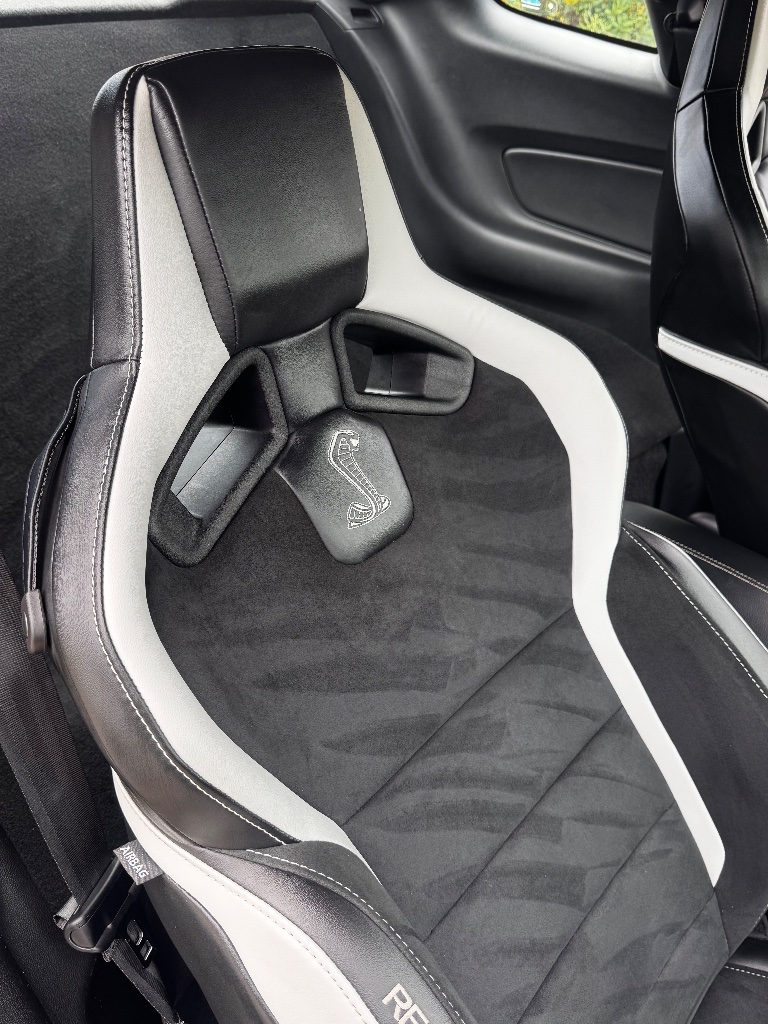 Forest Auto Detailing in Cypress, TX (3)