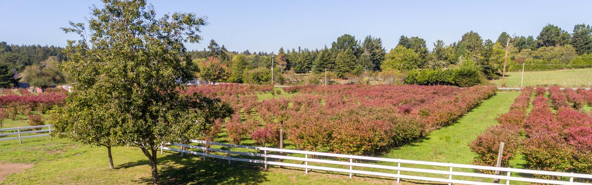 Mary Messal | Bayside Realty in Crescent City, CA