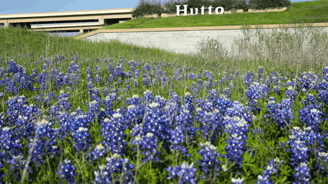Melissa Isaac Realtor in Pflugerville, TX (2)