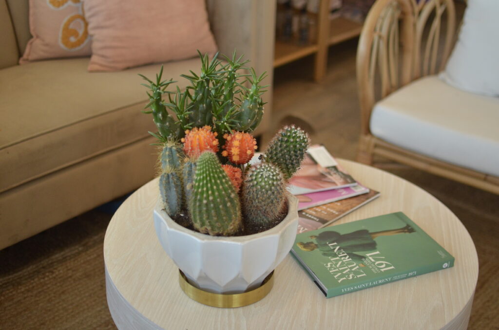 The Sandy Mane in Palm Desert, CA (2)