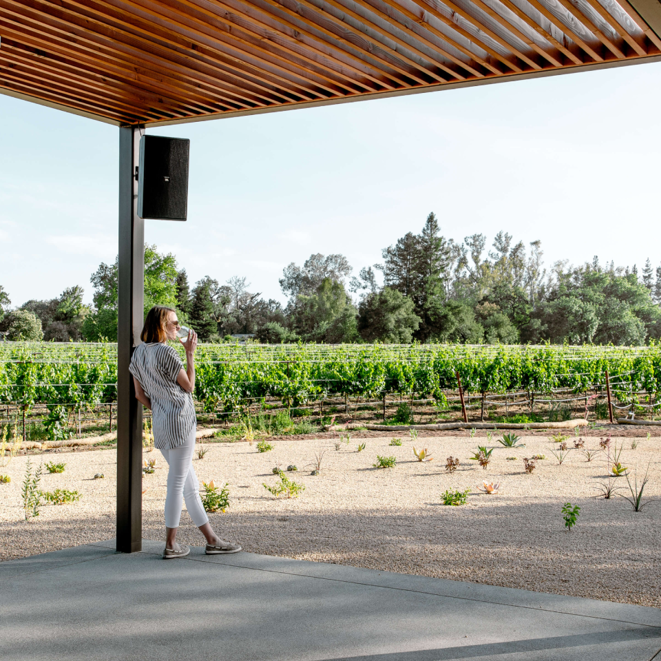 Bread & Butter Wines in Napa, CA (2)