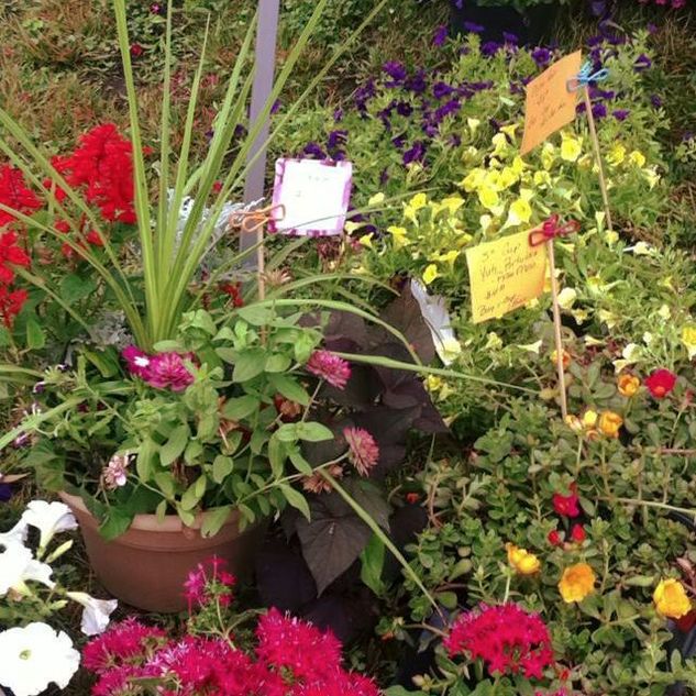 Putnam Farmers Market in Hurricane, WV (4)