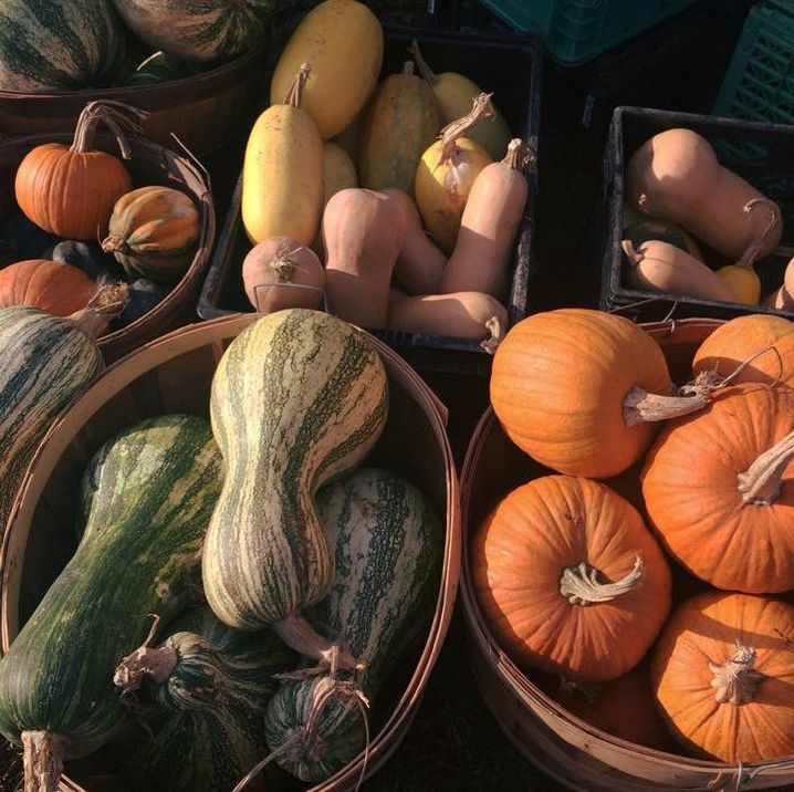 Putnam Farmers Market in Hurricane, WV (5)