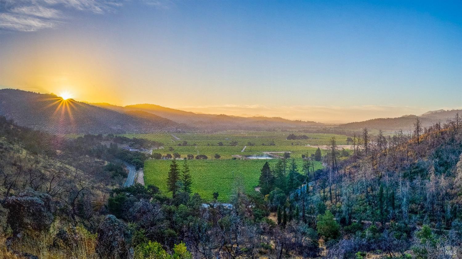 Jamie Spratling | Spratling Real Estate in St Helena, CA (5)
