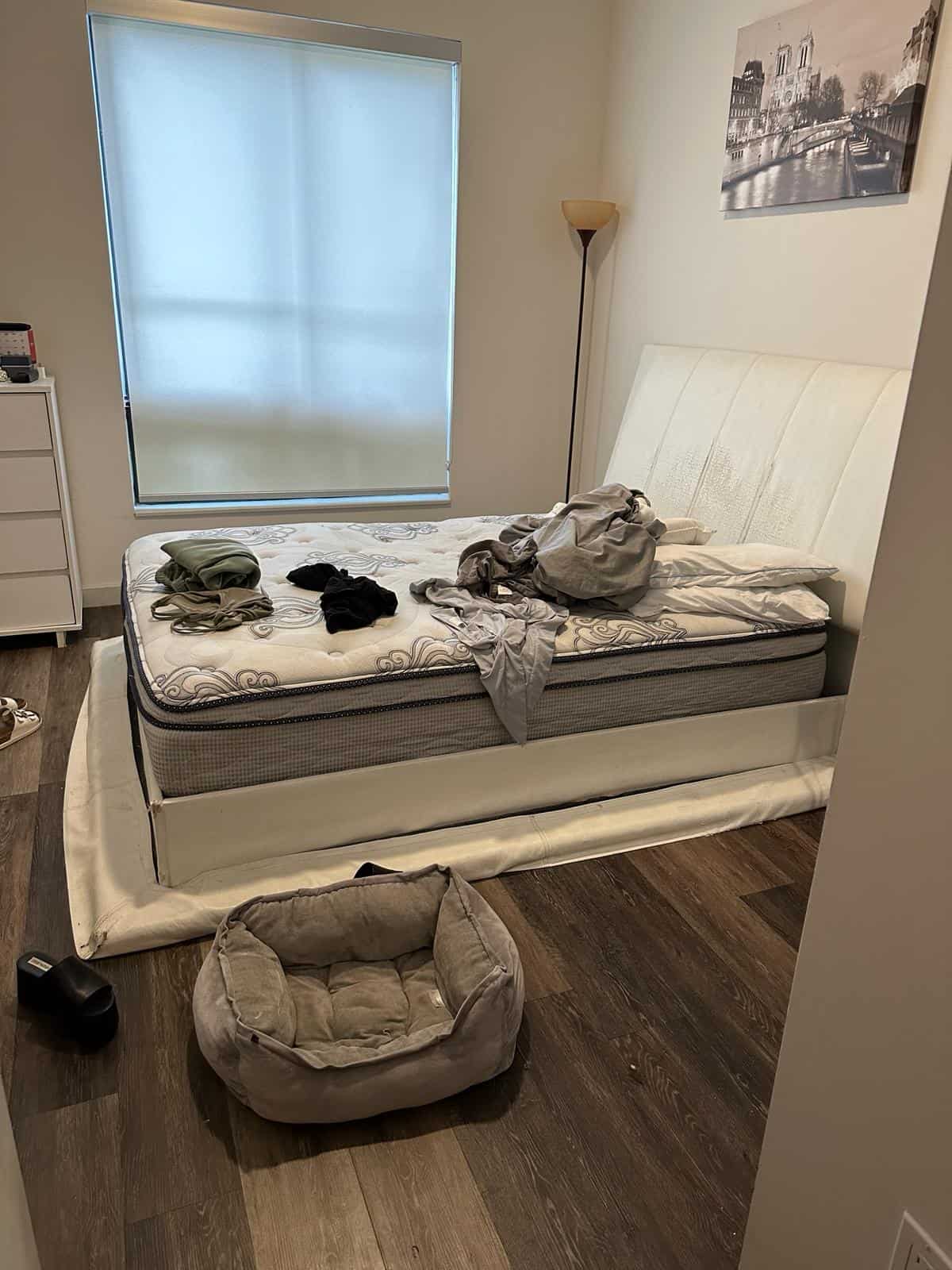 DND Cleaning Services USA in Fort Lauderdale, FL (5)