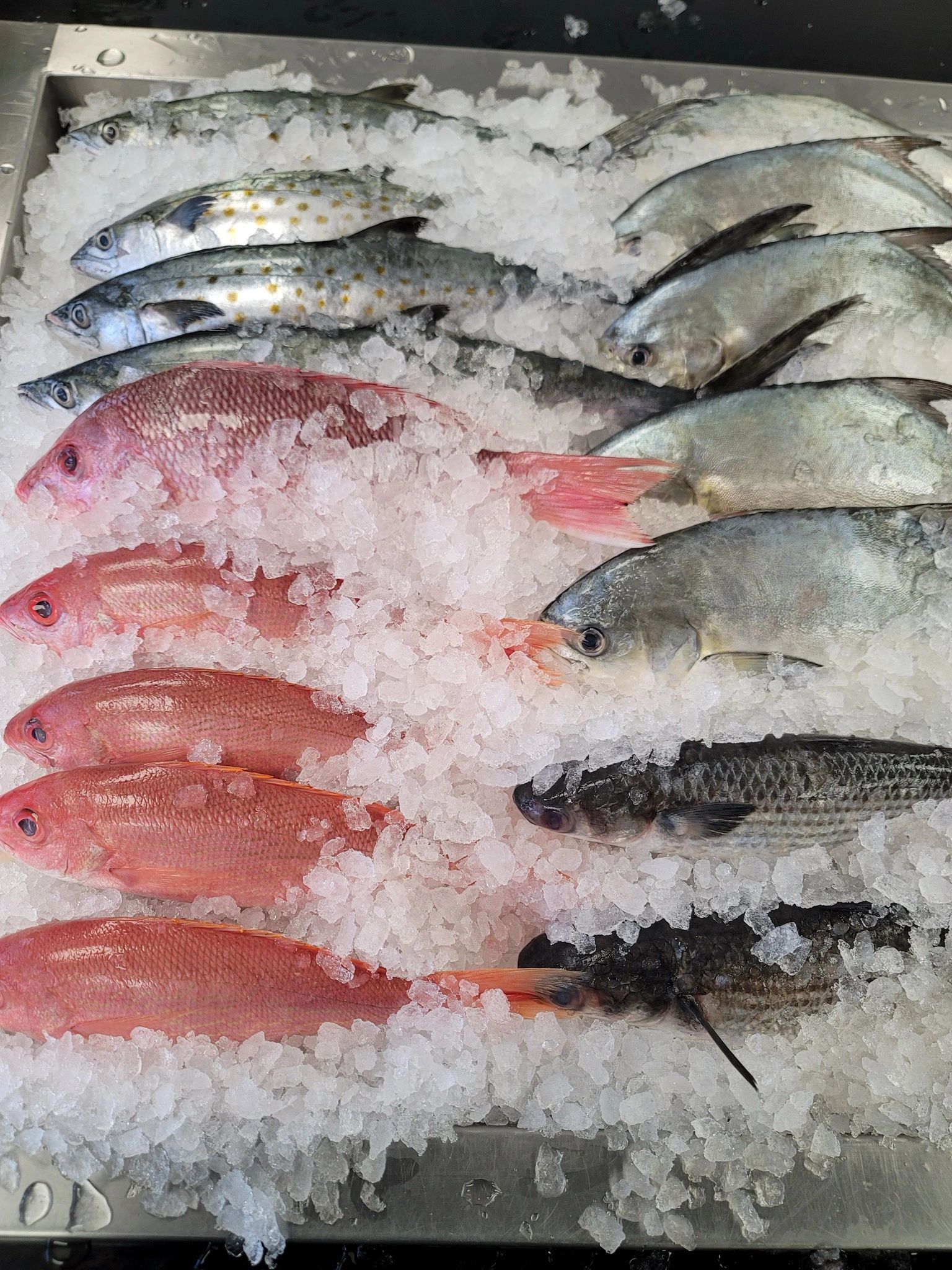Sea Market in Destin, FL (2)