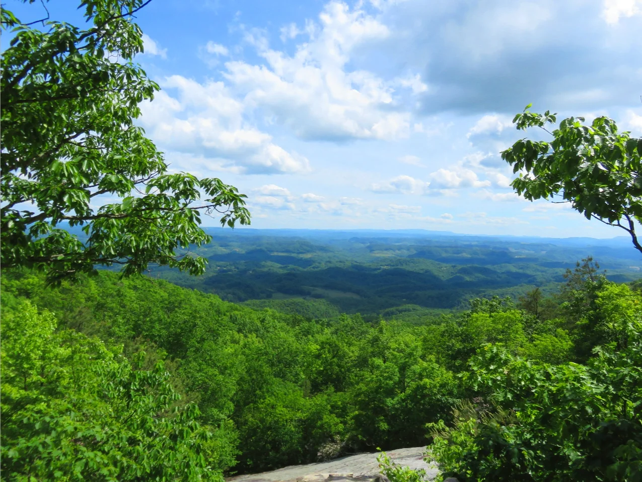 Dickenson County Chamber Of Commerce in Clintwood, VA (6)