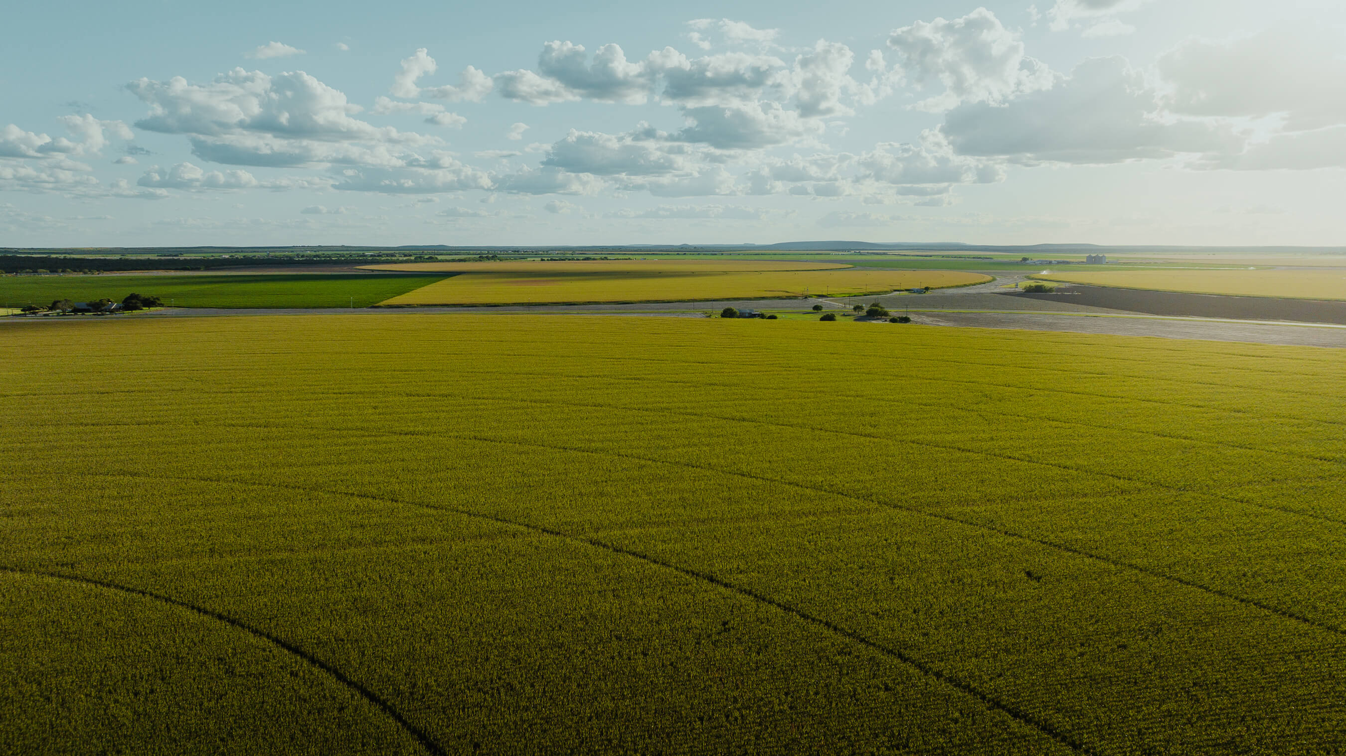 Uvalde Chamber of Commerce in Uvalde, TX (2)