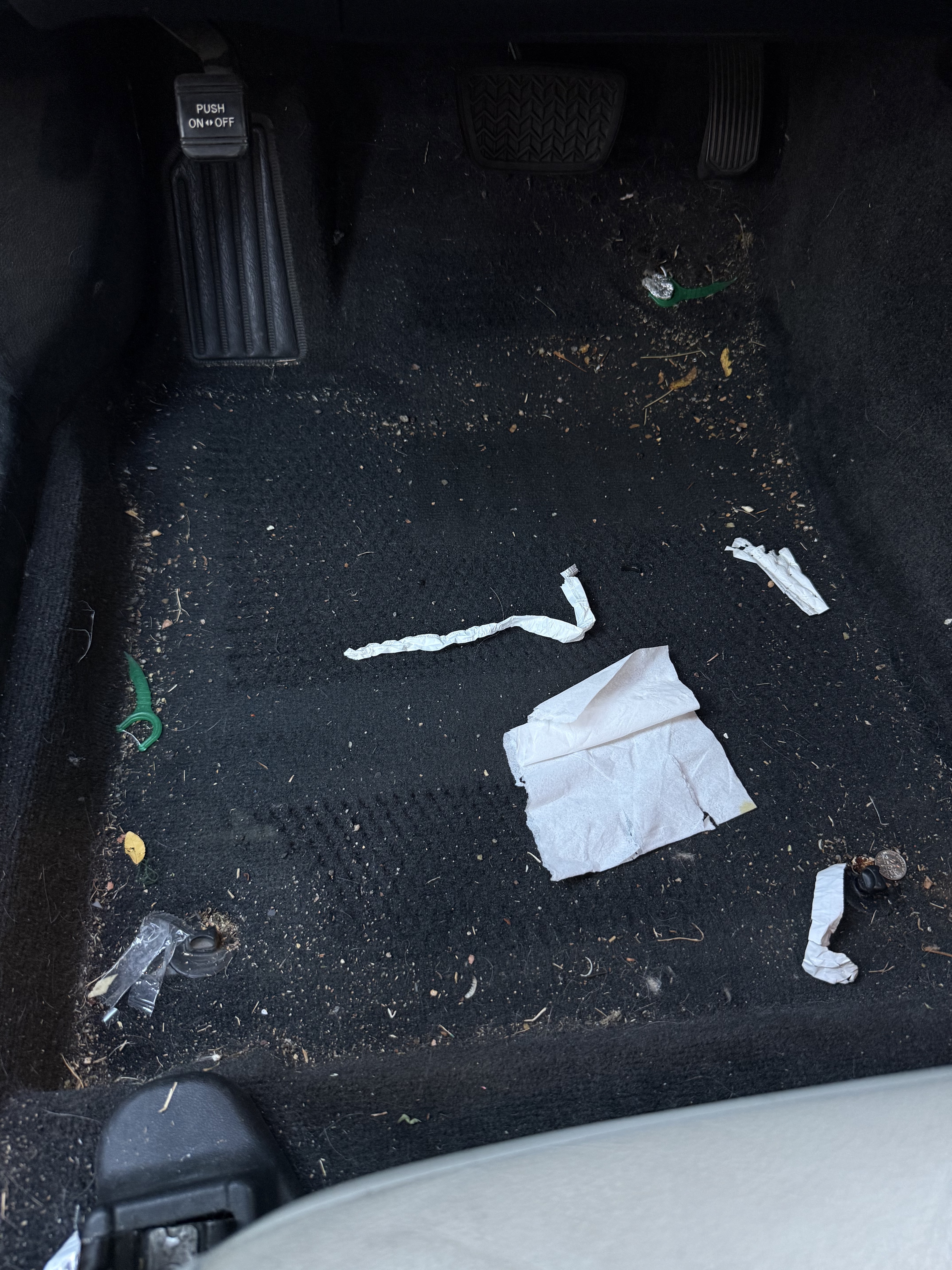 AeroAuto Detailing in Sanger, CA (4)