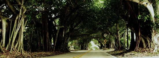 Charles E. Heath in Stuart, FL (3)