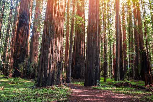 Small Business Consulting Inc in Scotts Valley, CA (2)
