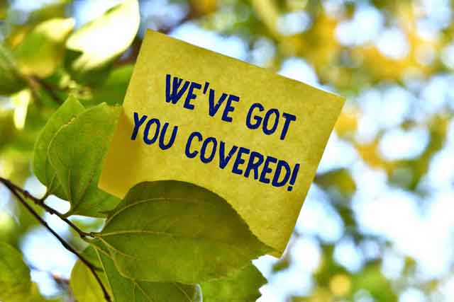 Small Business Consulting Inc in Scotts Valley, CA (3)