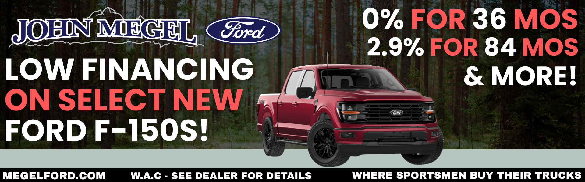 John Megel Ford in Cleveland, GA