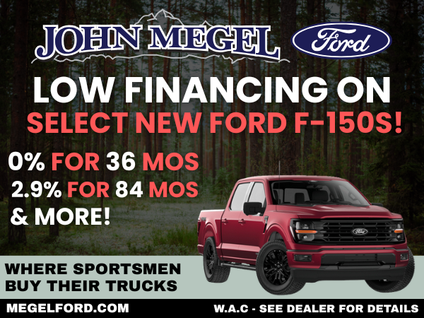 John Megel Ford in Cleveland, GA (4)