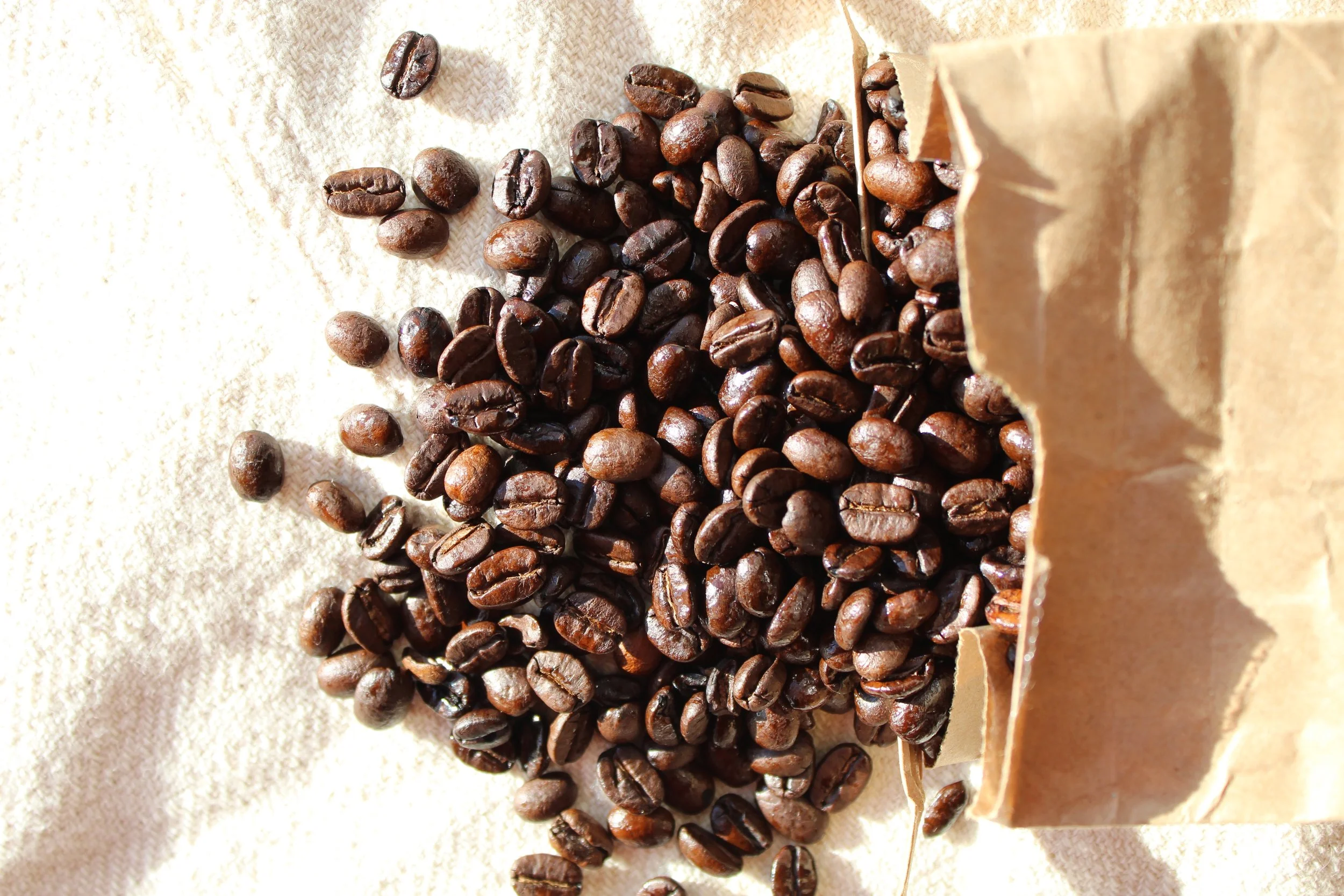 Adelante Cafe (Liberation Farmers) in Almond, WI (2)