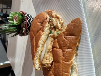 Tiger Asian Food Truck in Allen, TX (4)