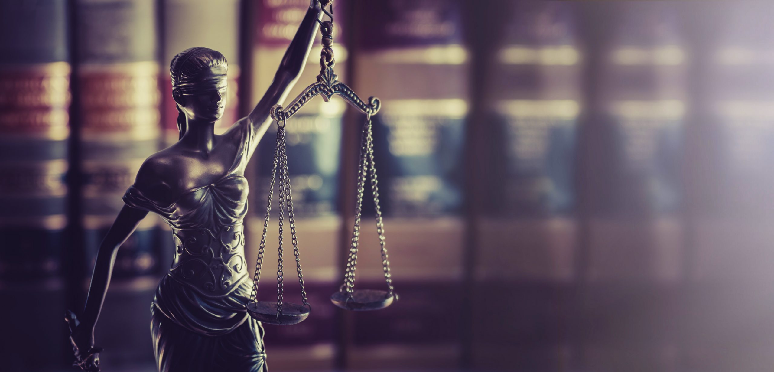 Shvartsman Law Offices in Northbrook, IL (3)