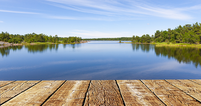 Faylen Silva, Realtor - "Live in Lake County" in Hidden Valley Lake, CA (3)