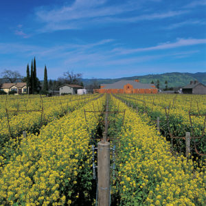 Mustards Grill in Napa, CA