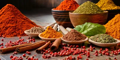 Judy's Natural Foods in New Port Richey, FL (3)