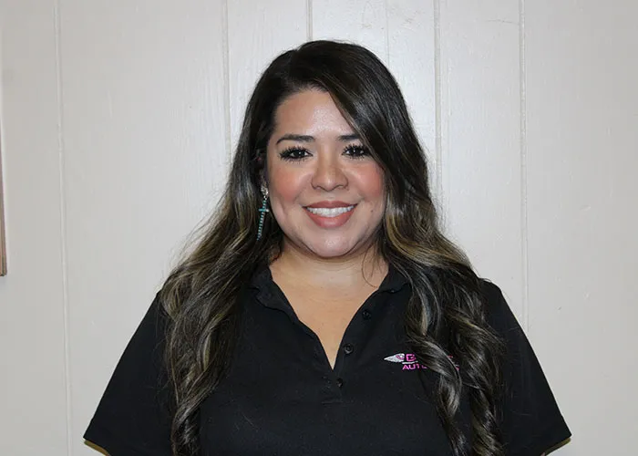 Goose Auto Repair - Bandera in San Antonio, TX (3)