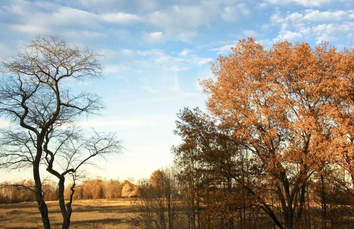 Main Street Real Estate Partners LLC in Coopersburg, PA (5)