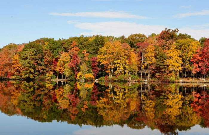 Main Street Real Estate Partners LLC in Coopersburg, PA (6)