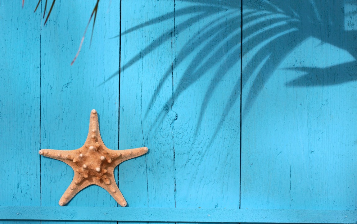 Harbor Realty in Apalachicola, FL (3)