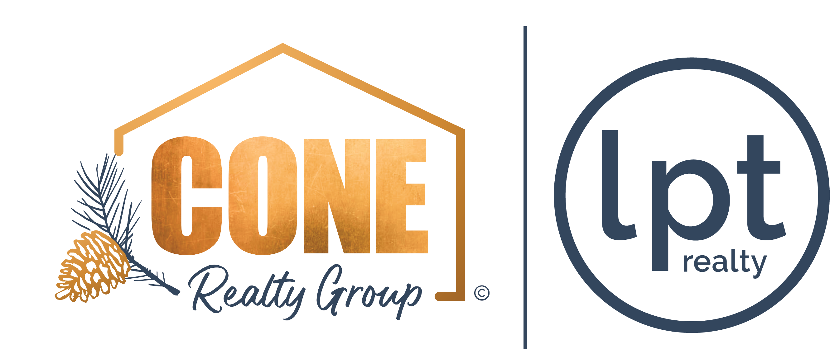 Cone Realty Group at LPT Realty - Hal Cone in Roanoke, VA (4)