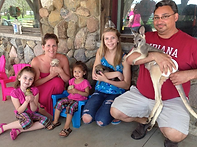 Bear Den Zoo and Petting farm in Waterford, WI