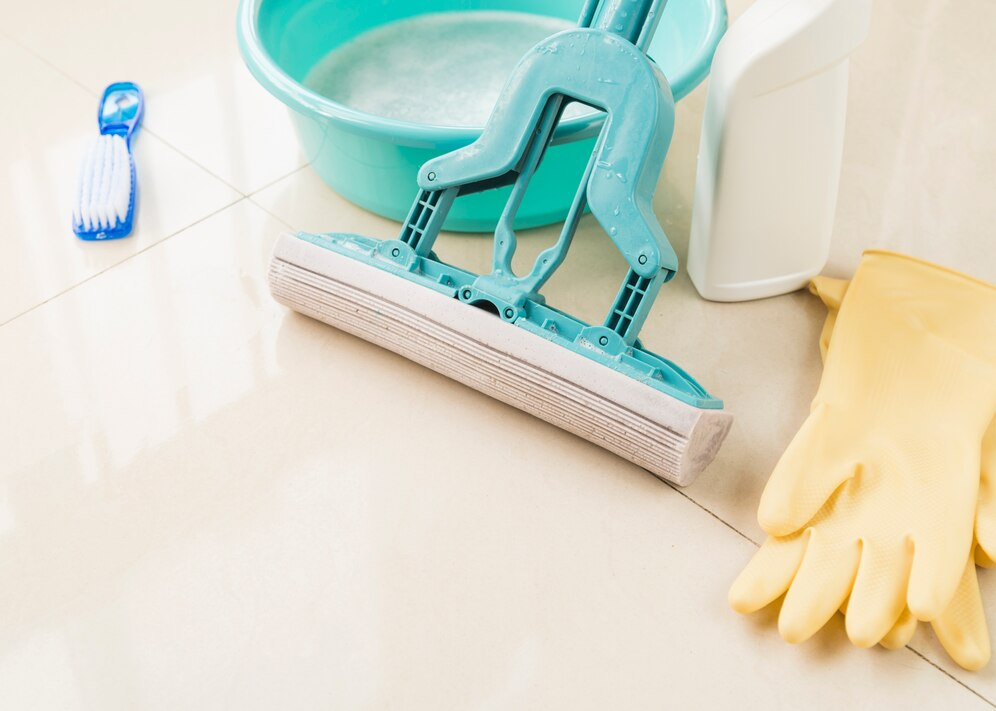 Alecrins Cleaning in Indianapolis, IN (2)