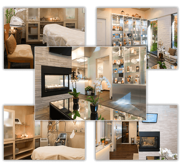 FACE Skincare Medical Wellness in Bingham Farms, MI (4)