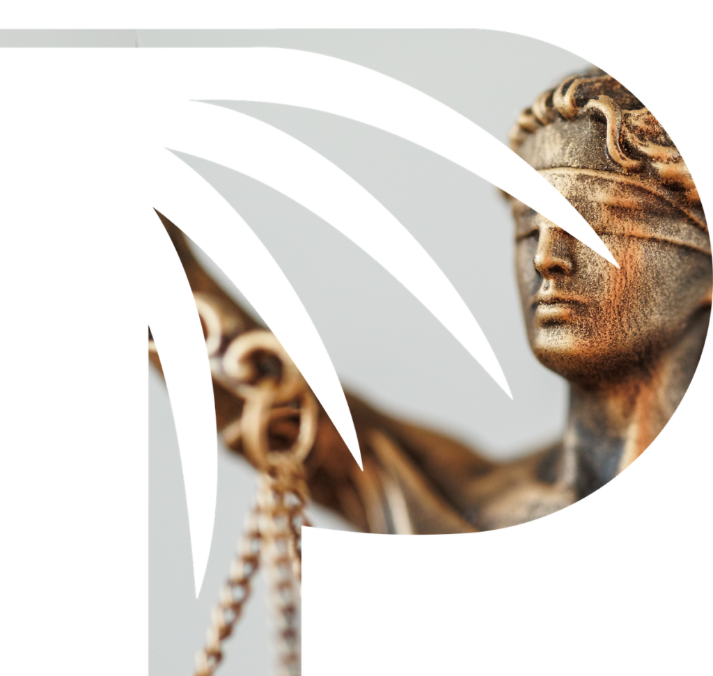 Palmetto Accident Law in Mt Pleasant, SC