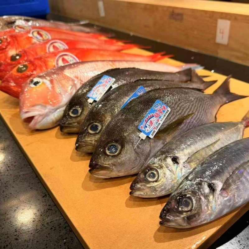 Ki Omakase in Little Neck, NY (3)