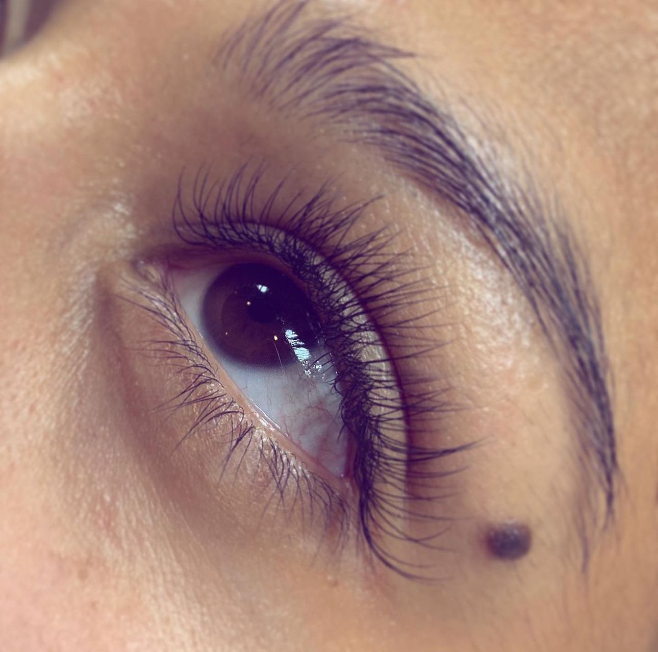 The Lash Sanctuary in East Brunswick, NJ