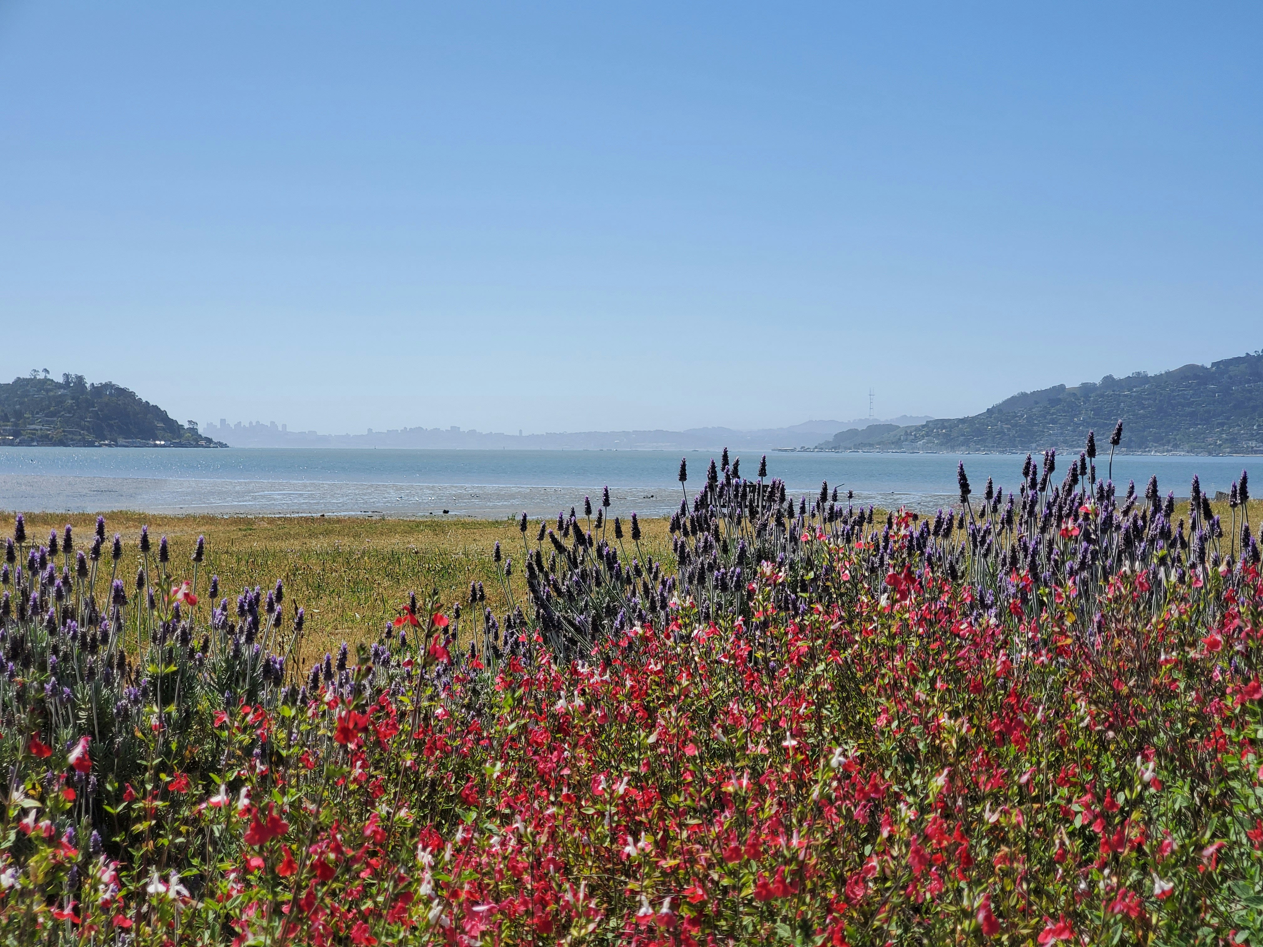 Highlow Larder in Belvedere Tiburon, CA (3)