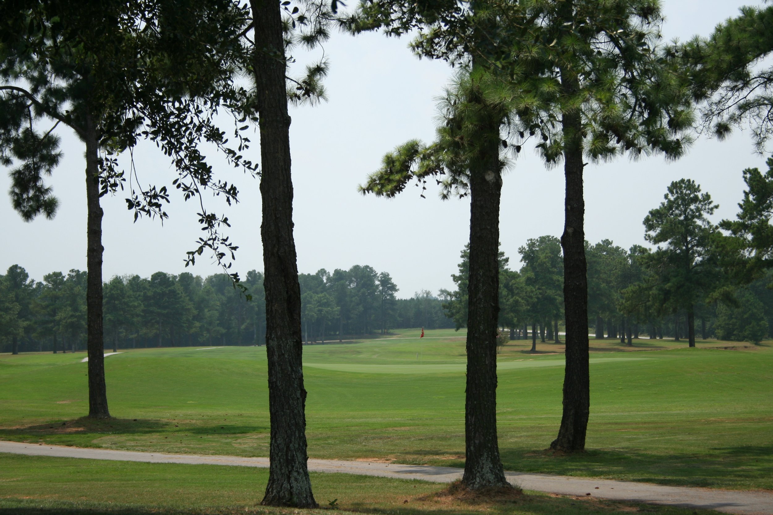 Derrick Realty Inc in Johnston, SC (6)