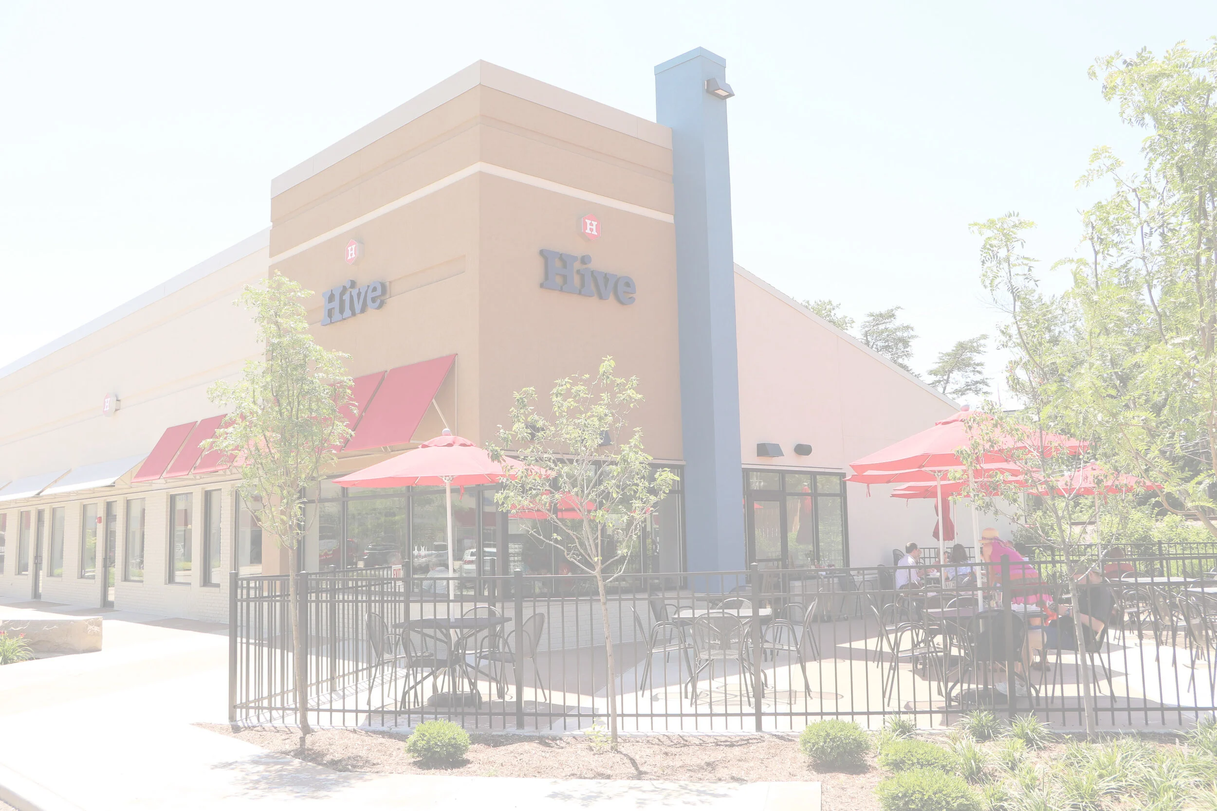 Hive in Bloomington, IN
