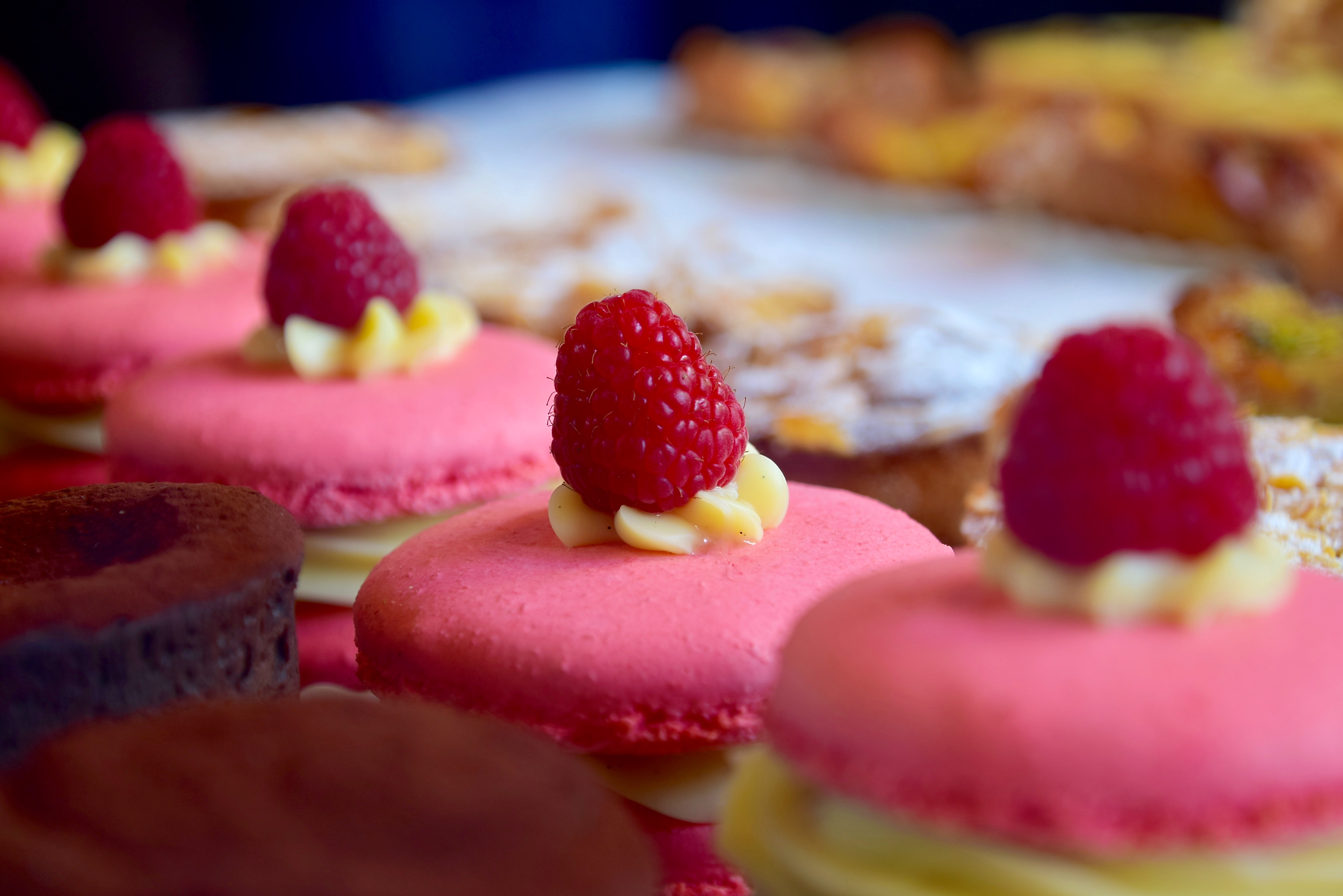Elite Baking in San Diego, CA (3)