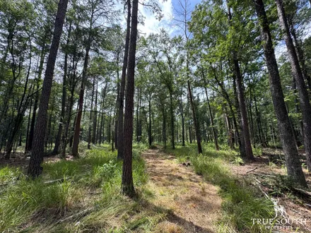 True South Properties in Ridgeland, SC (2)