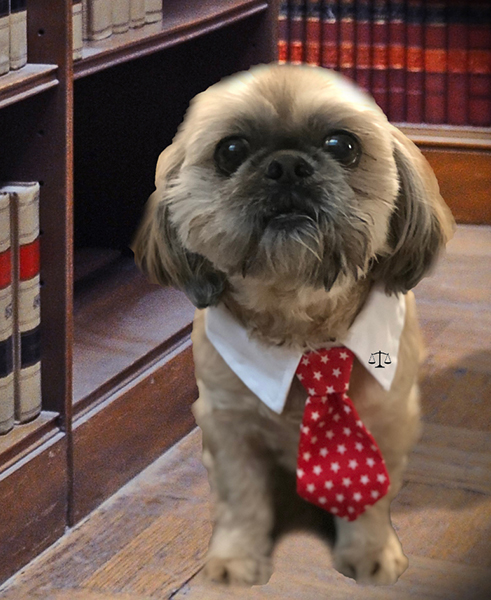 Law Office of Jackie VanZant, PLLC in Sherman, TX (4)