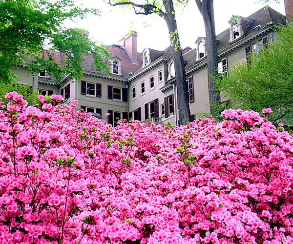 Beiler Campbell Realtors in Avondale, PA (6)