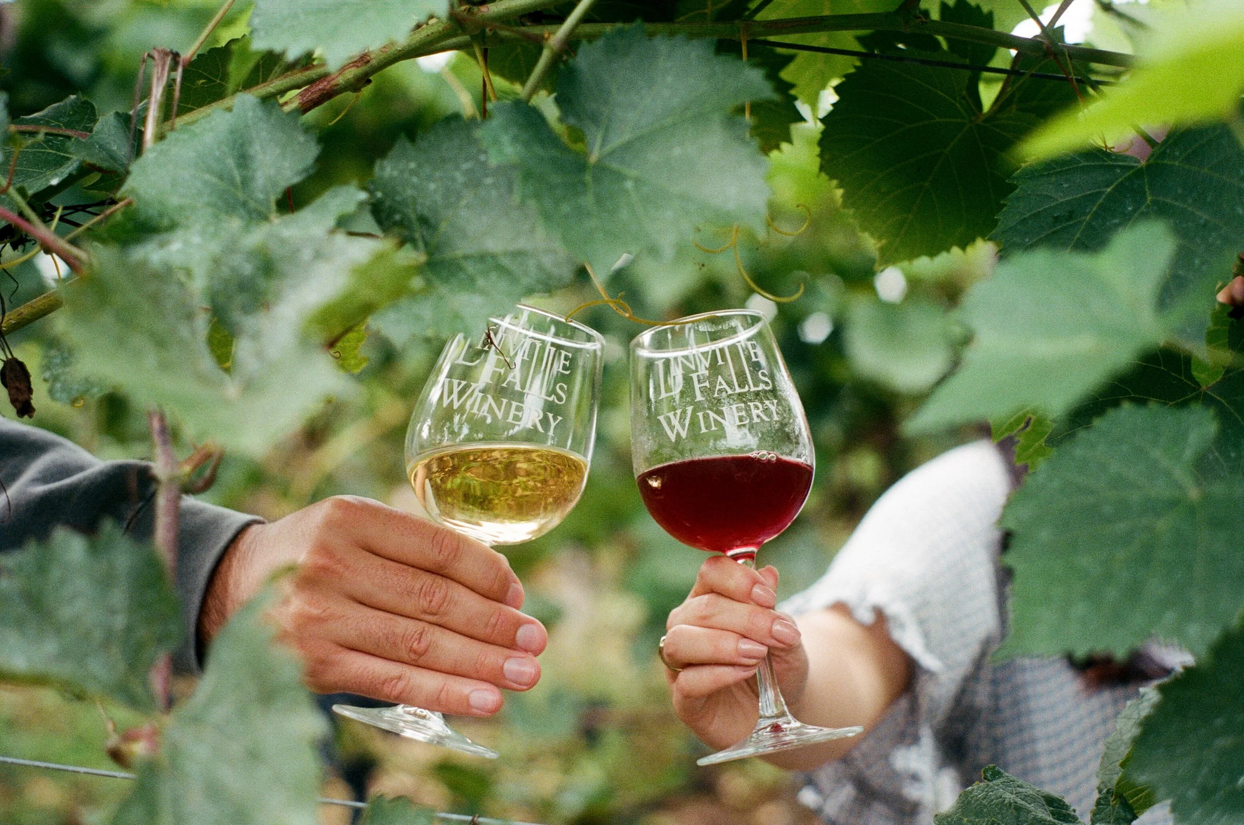 Linville Falls Winery in Newland, NC (6)
