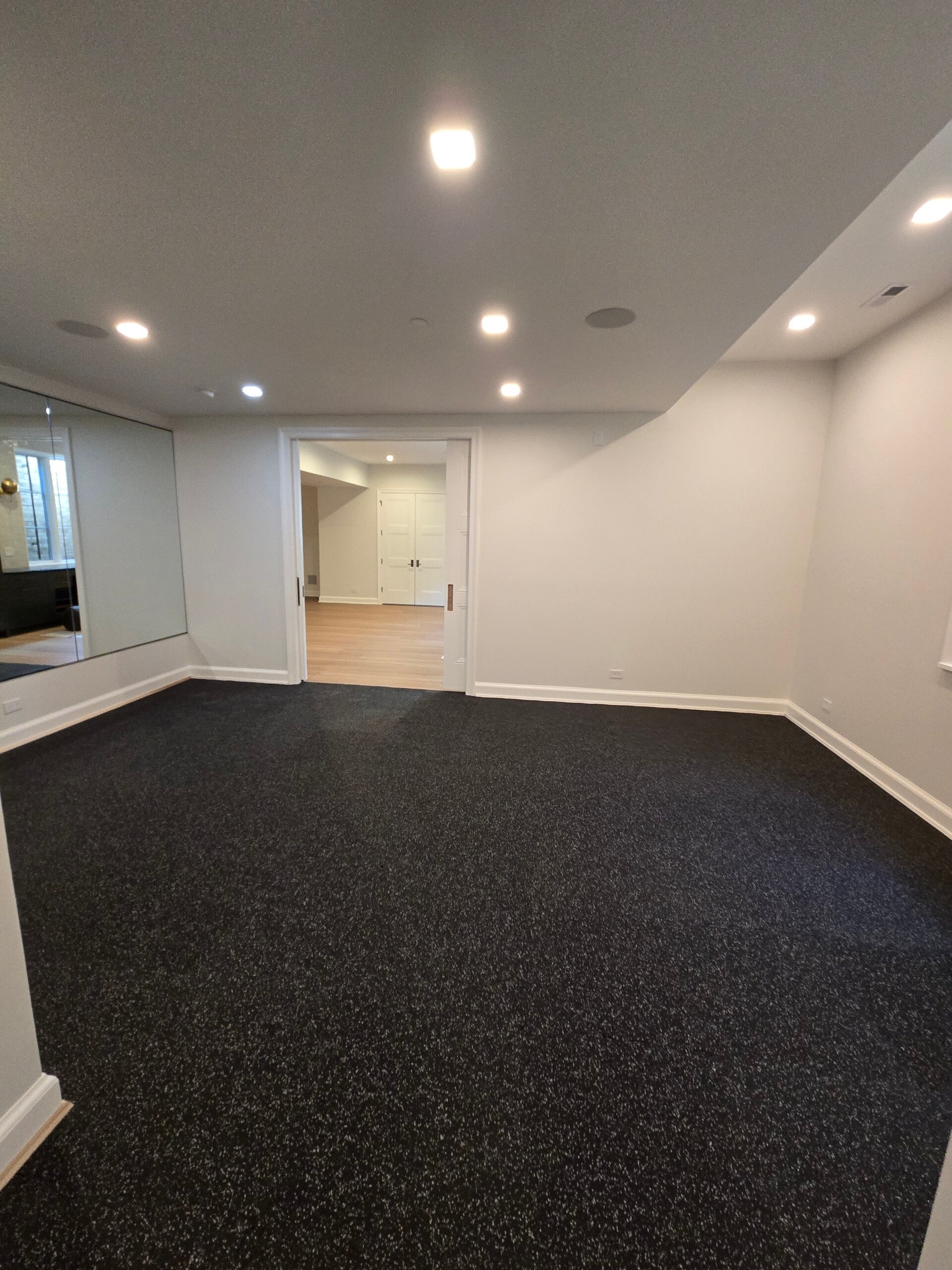 PROFESIONAL PAINTER LCC in Melrose Park, IL (2)