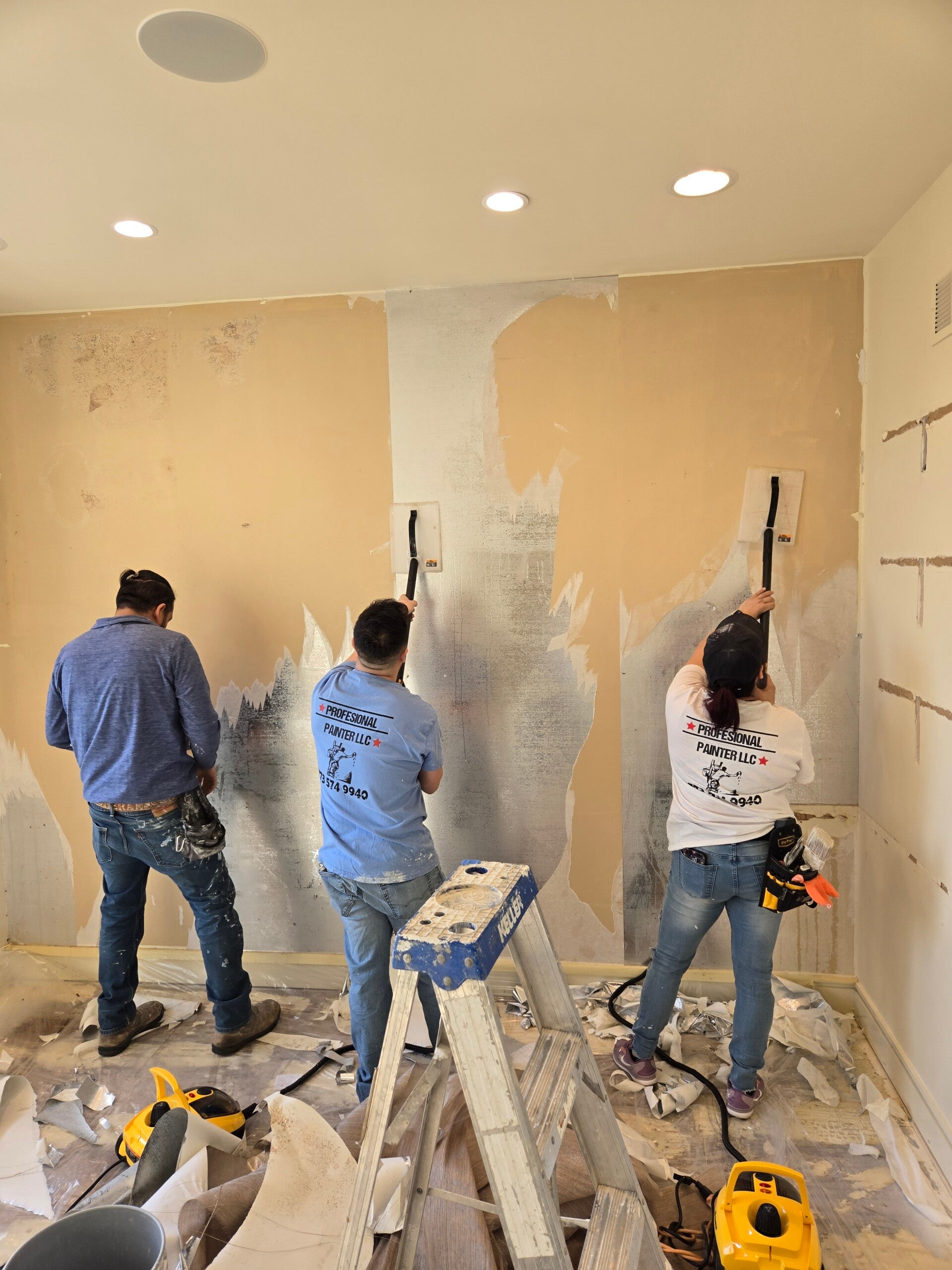 PROFESIONAL PAINTER LCC in Melrose Park, IL (5)
