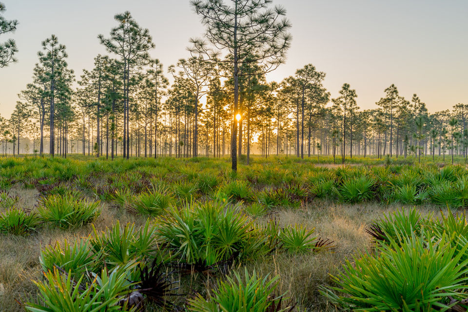 Fussell Realty, INC. in Arcadia, FL (4)