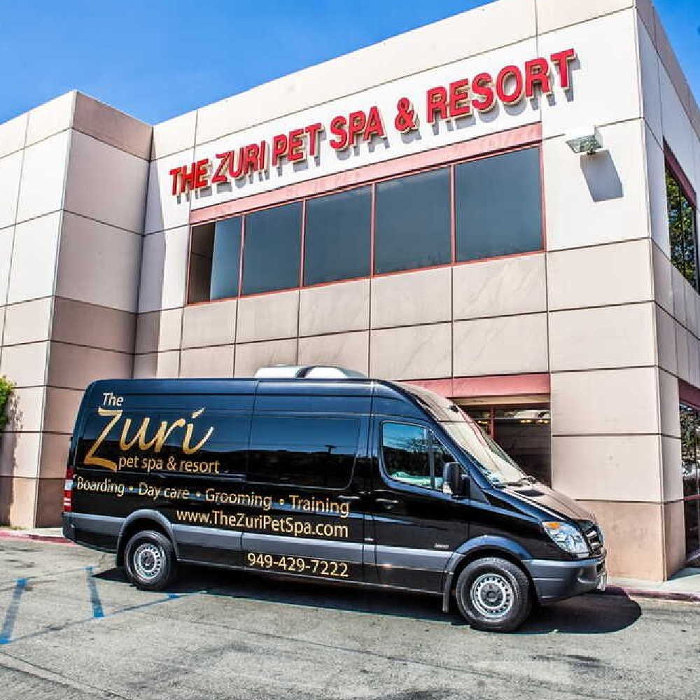 The Zuri Pet Spa in San Juan Capistrano, CA