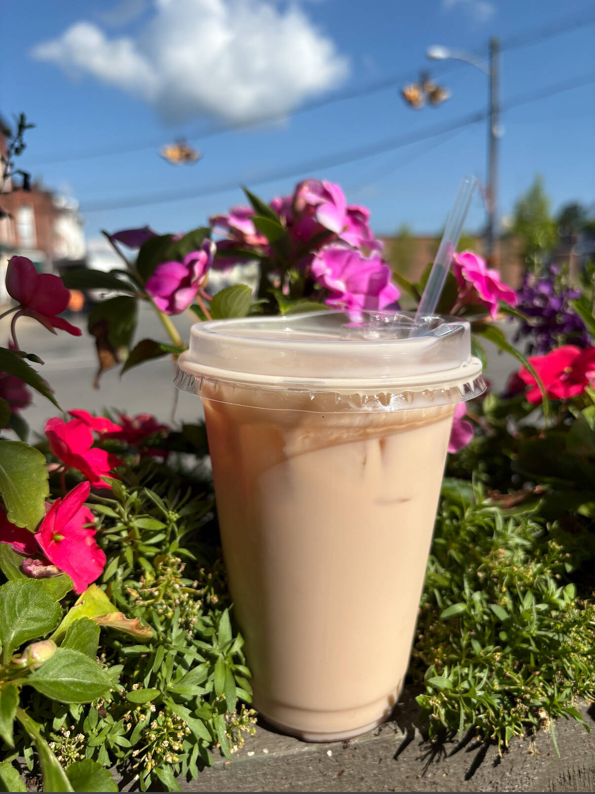 Cellar Door Coffee Co. in Garrettsville, OH