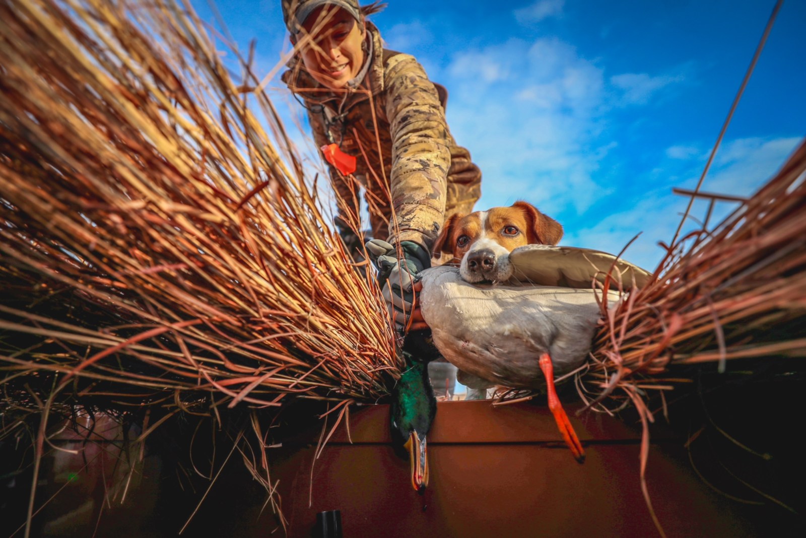 One Shot Retrievers in Frankston, TX (4)